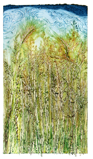 July Grass